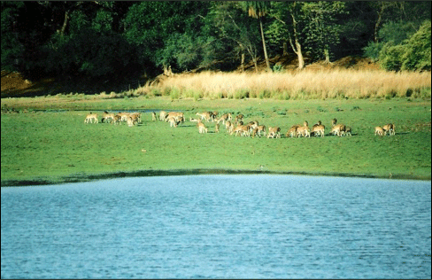 raj bagh ranthambore